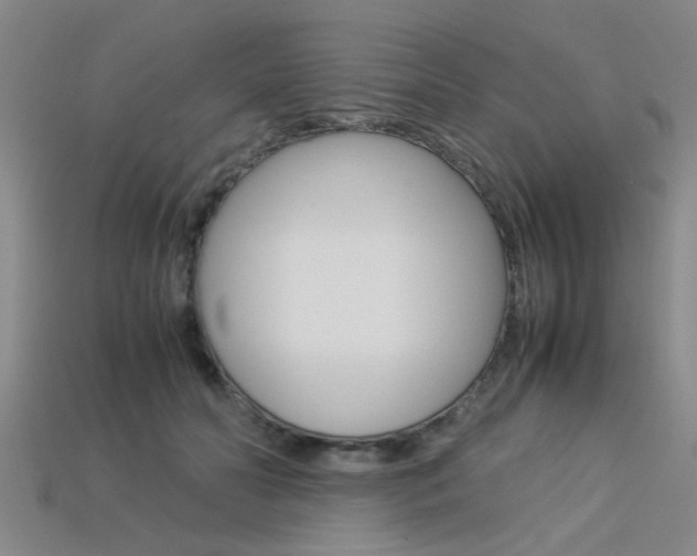 X0000113560606200909181022