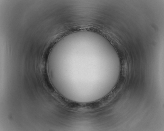 X0000113560608200909181022