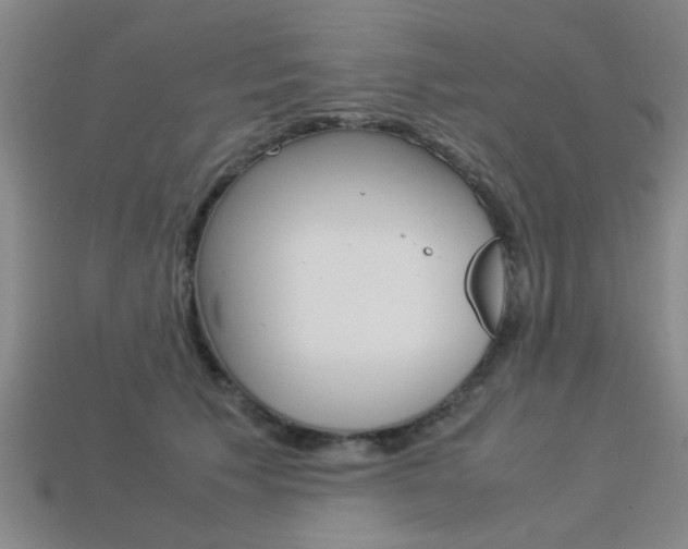 X0000113560609200909181022