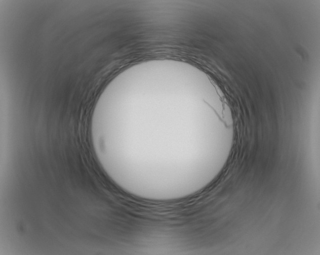 X0000113560611200909181022