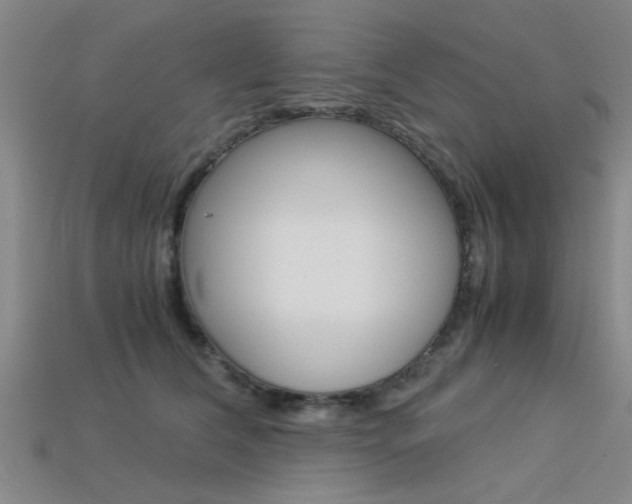 X0000113560612200909181022