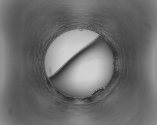 X0000113560613200909181022