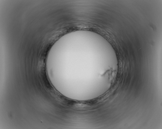 X0000113560614200909181022