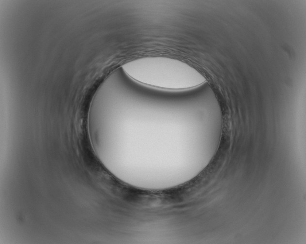 X0000113560615200909181022