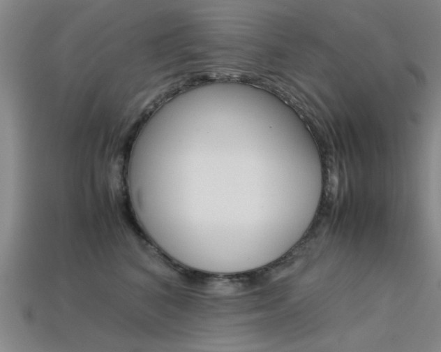X0000113560616200909181022