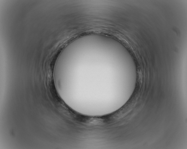 X0000113560617200909181022