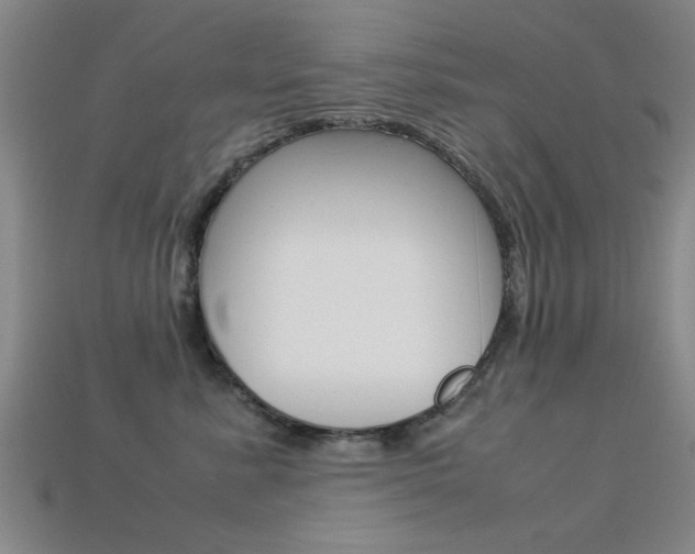 X0000113560619200909181022