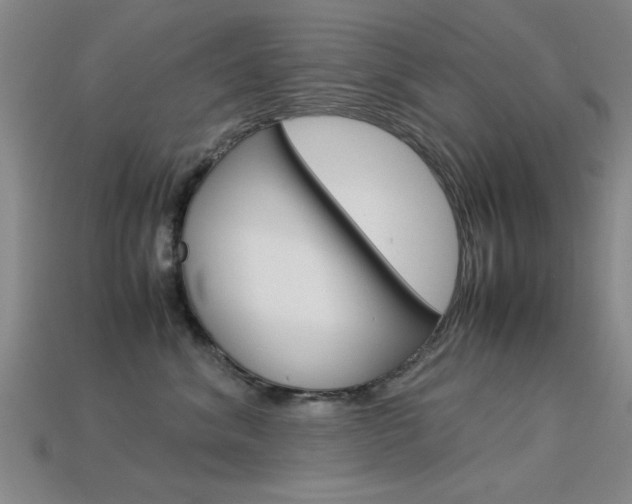 X0000113560620200909181022