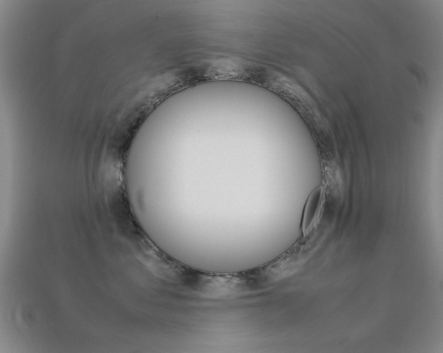 X0000113560621200909181022