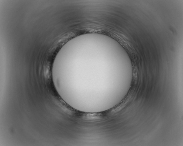 X0000113560622200909181022
