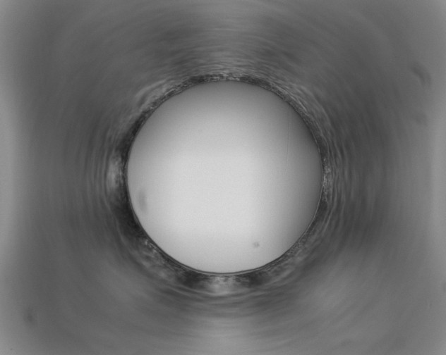 X0000113560623200909181022