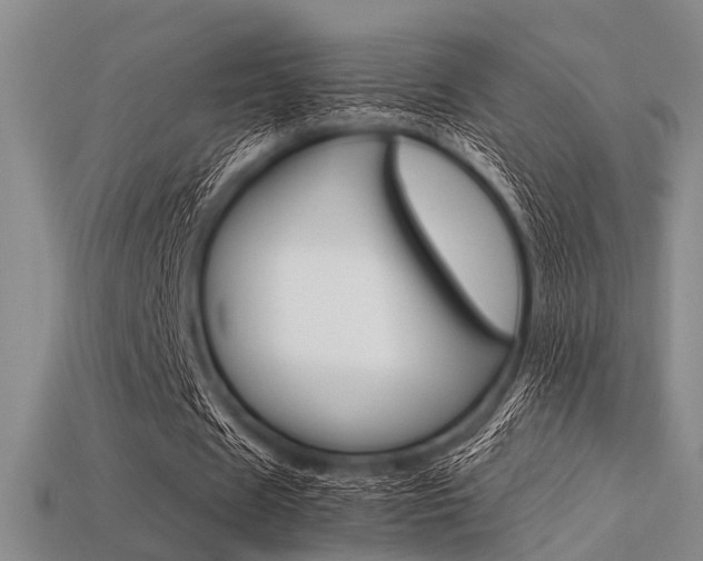 X0000113560625200909181021