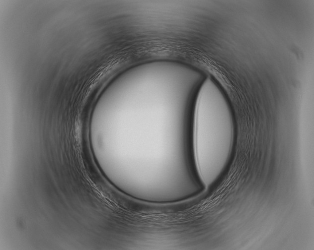 X0000113560626200909181021