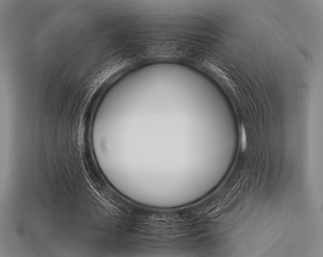 X0000113560627200909181021