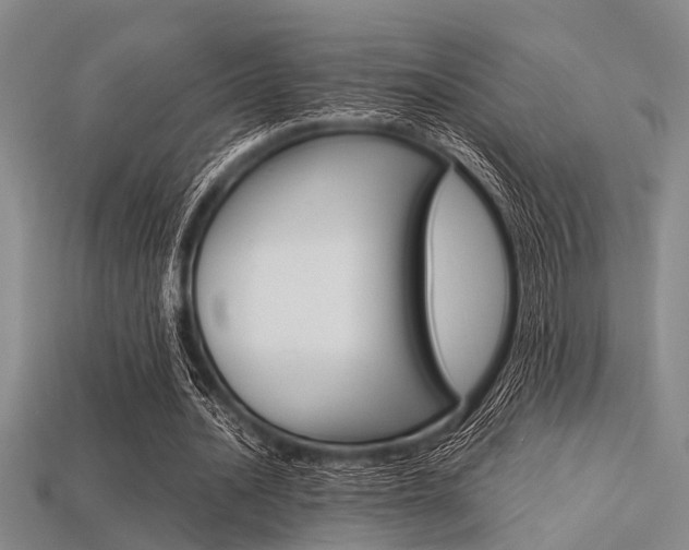 X0000113560628200909181021