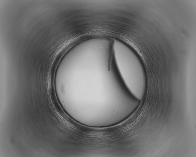 X0000113560629200909181021