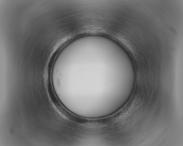 X0000113560630200909181021