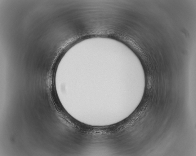 X0000113560632200909181021