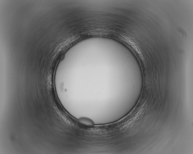 X0000113560633200909181021