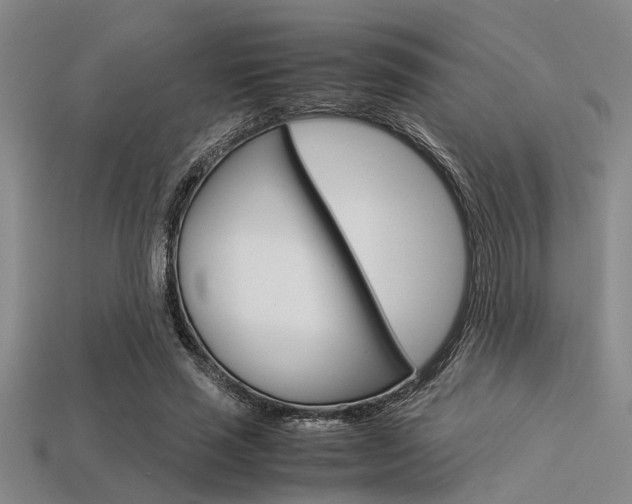X0000113560637200909181022