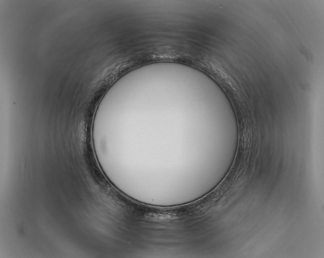X0000113560639200909181022