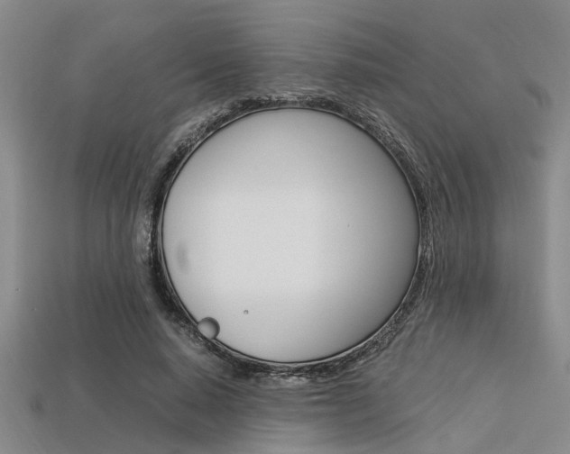 X0000113560640200909181022