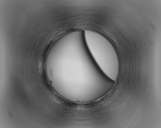 X0000113560641200909181022