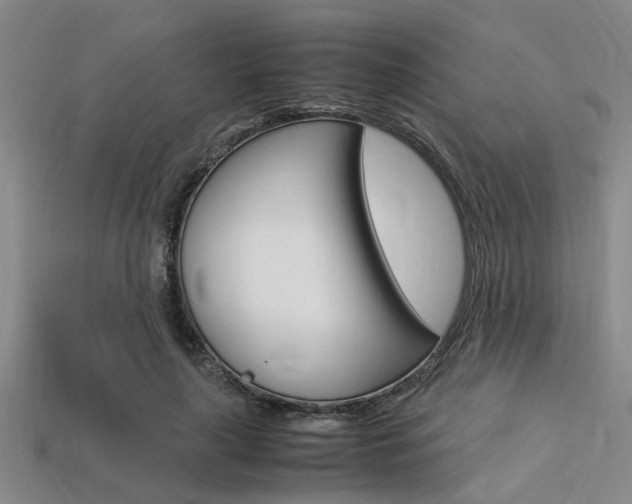X0000113560643200909181022
