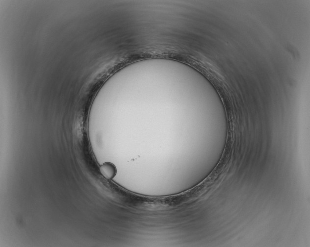 X0000113560644200909181022
