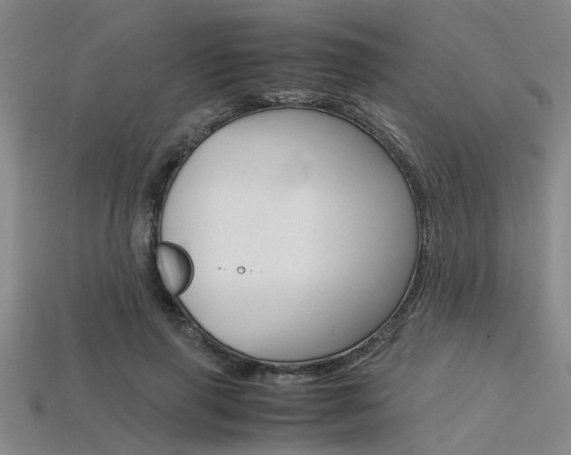 X0000113560645200909181022