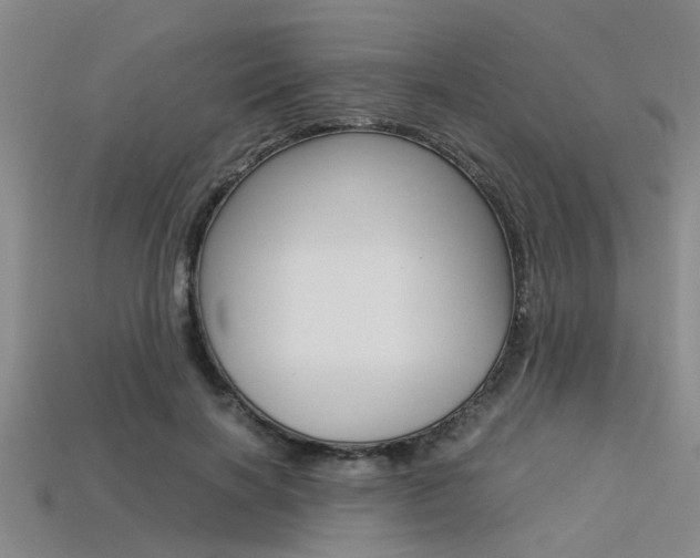 X0000113560646200909181022