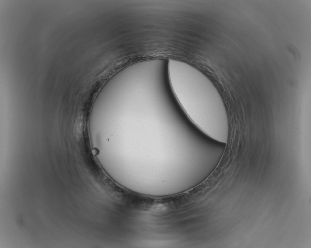 X0000113560647200909181022