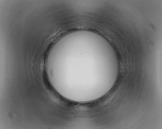 X0000113560648200909181022