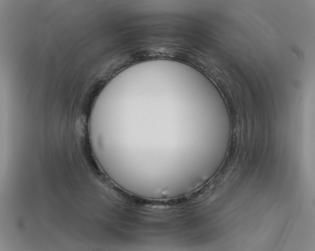 X0000113560649200909181022