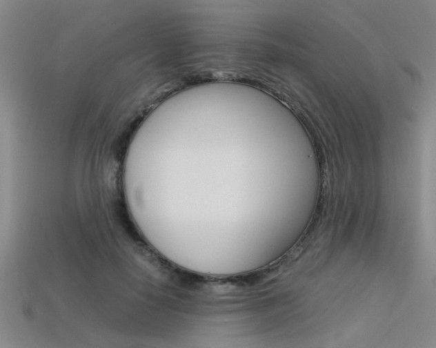 X0000113560650200909181022