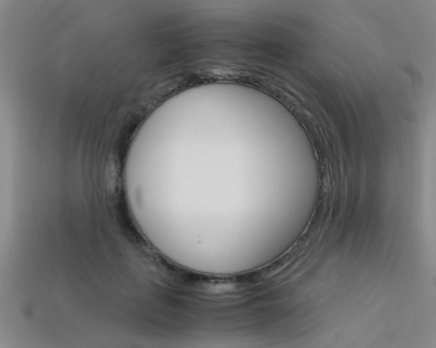 X0000113560651200909181022