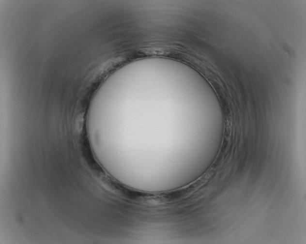 X0000113560652200909181022