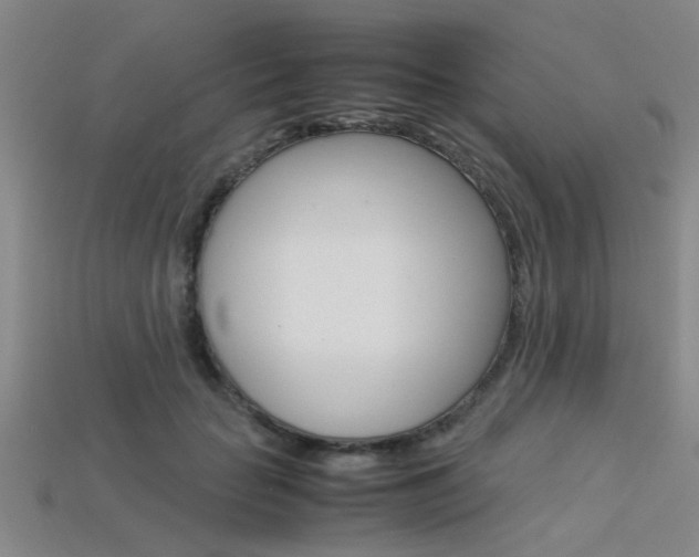 X0000113560653200909181022