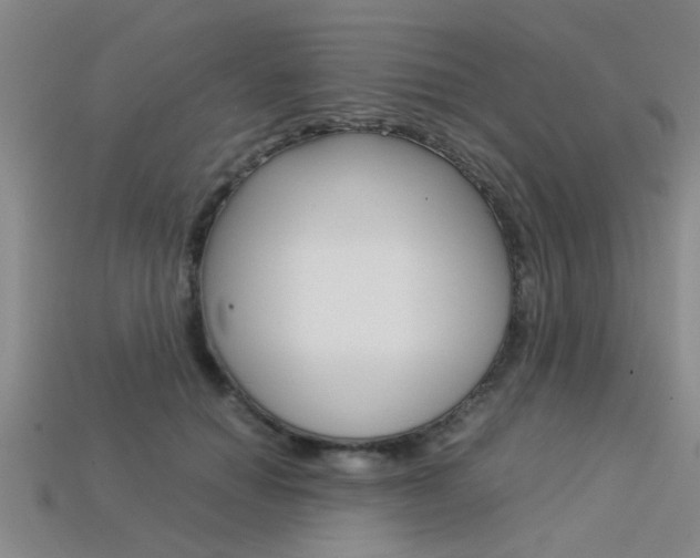 X0000113560654200909181022
