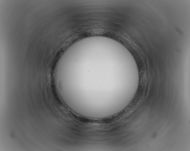 X0000113560655200909181022