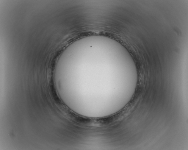 X0000113560656200909181022