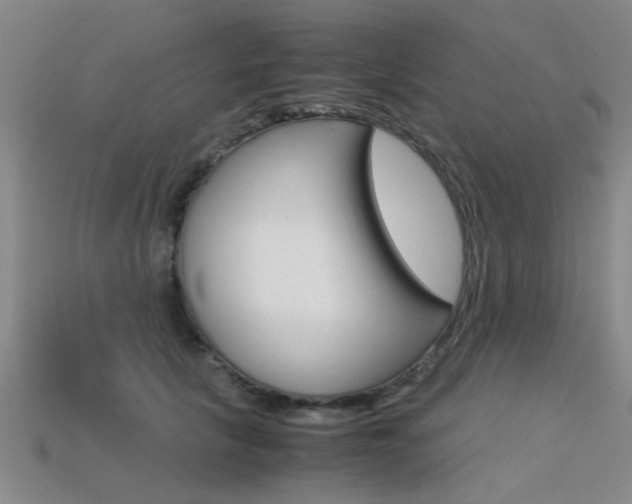 X0000113560657200909181022