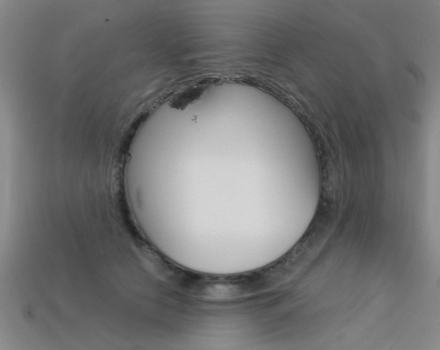 X0000113560658200909181022