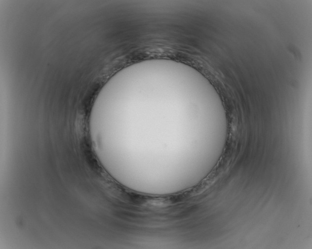 X0000113560659200909181022