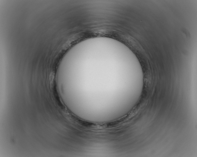 X0000113560660200909181022