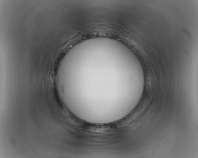 X0000113560661200909181022