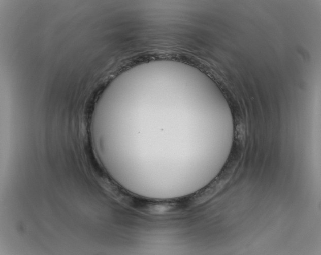 X0000113560662200909181022