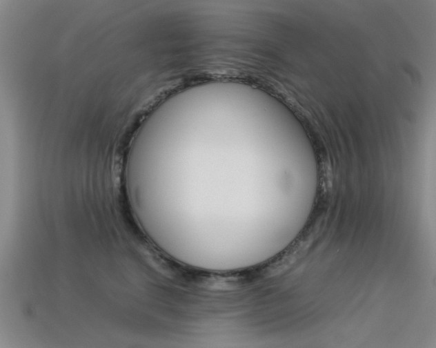 X0000113560664200909181022