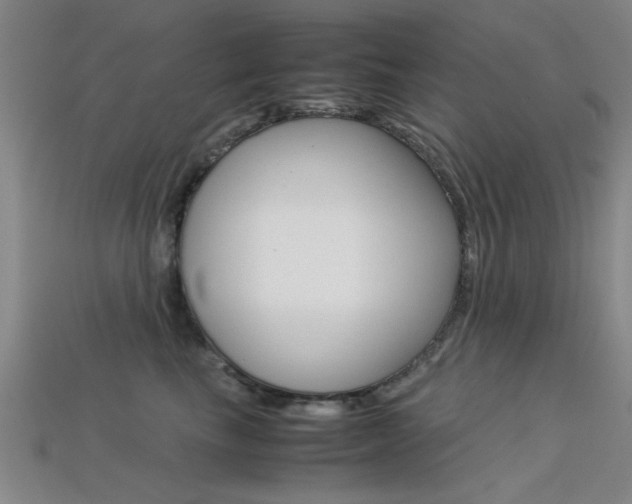 X0000113560665200909181022