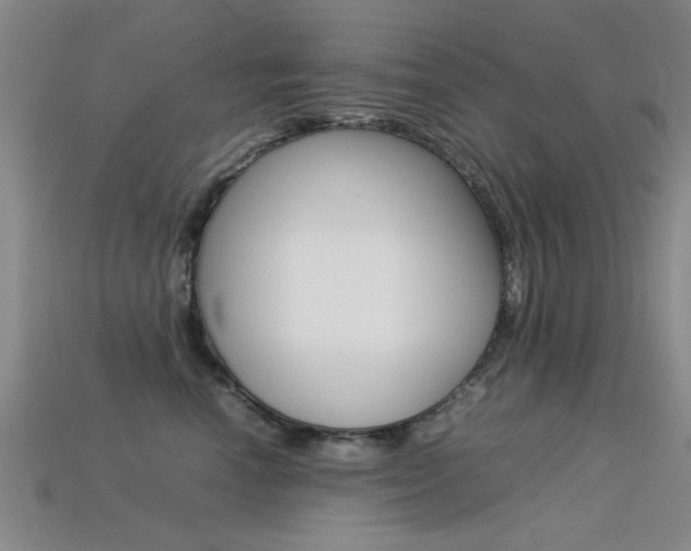 X0000113560666200909181022
